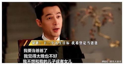 胡歌妻子爆料视频,揭秘明星婚姻背后的真相  第3张